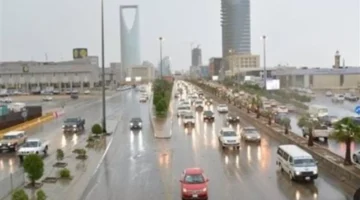 تحذير لـ 24 ساعة.. الوطني للأرصاد يكشف مناطق تساقط الأمطار وموجات الضباب